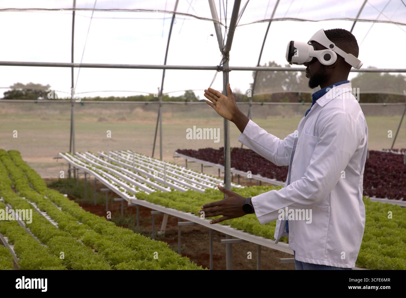 Uomo afro-americano in camice da laboratorio che si muove vicino ai vassoi con visore vr in serra, spazio copia Foto Stock
