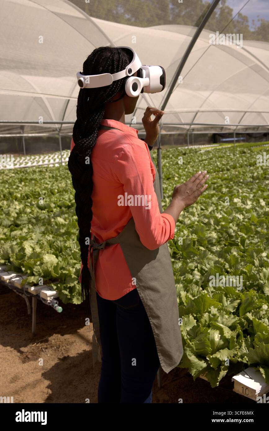 Donna afroamericana che ispeziona la lattuga idroponica utilizzando un visore vr a Greenhouse Foto Stock