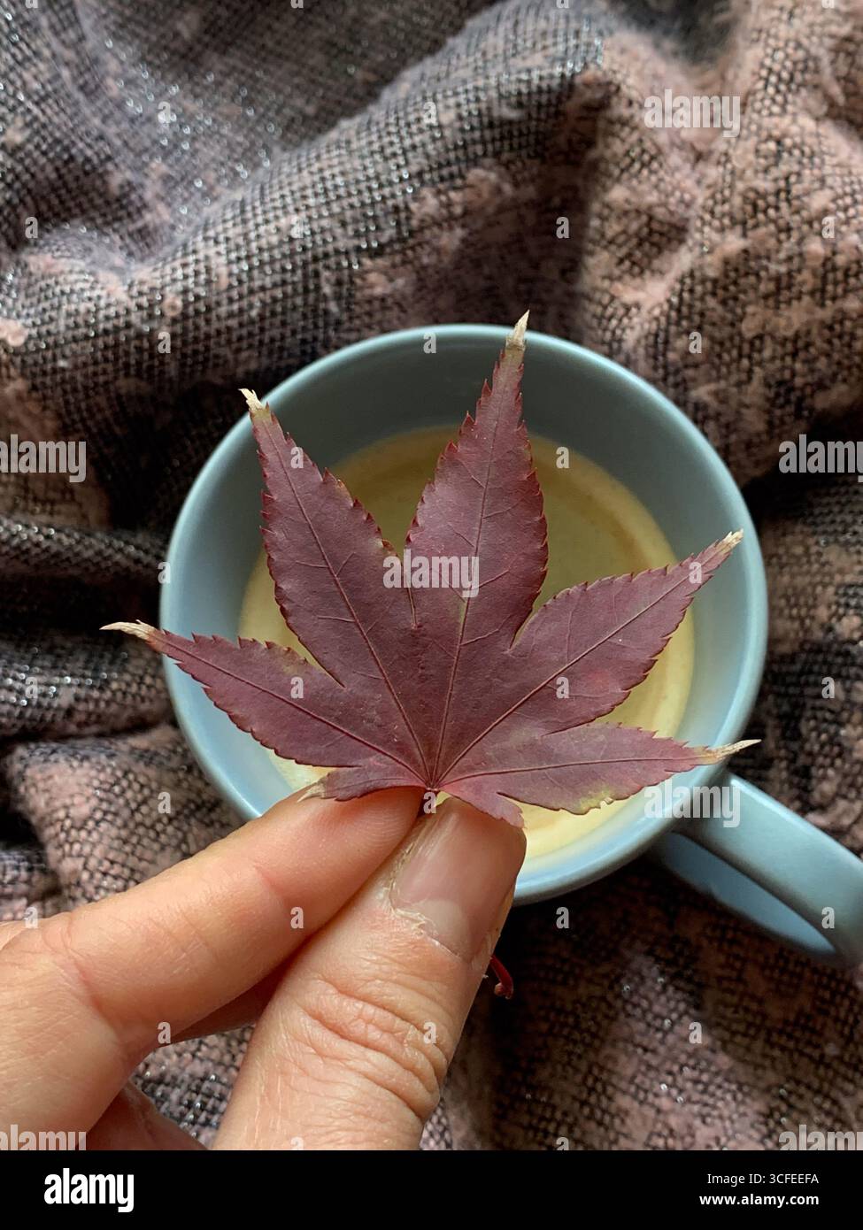 Tazza di caffè su sciarpa calda e una mano che tiene una foglia d'autunno rossa. Atmosfera autunnale accogliente e relax. Vista dall'alto, disposizione piatta. Composizione autunnale. - Immagine stock catturata con smartphone