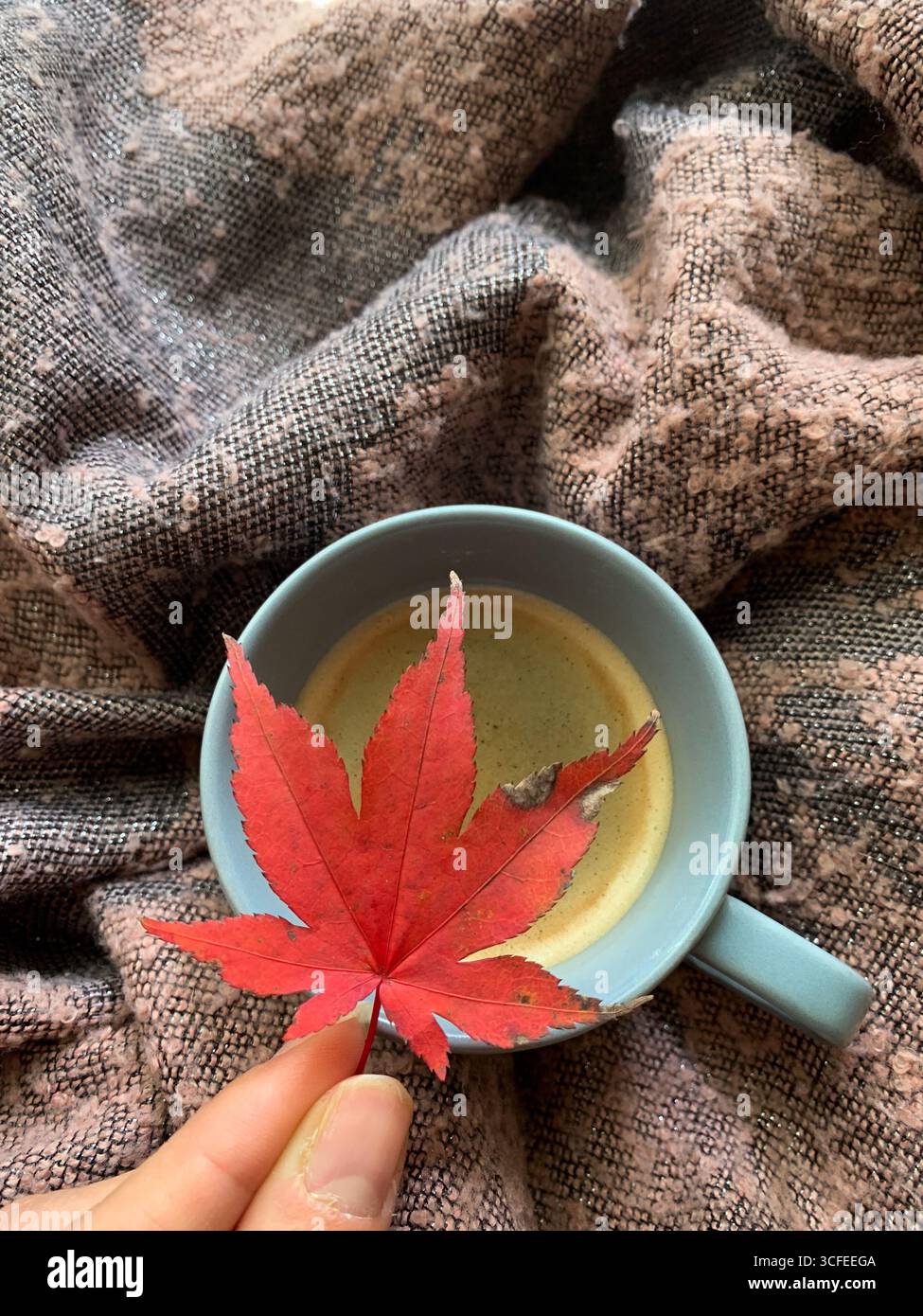 Tazza di caffè su sciarpa calda e una mano che tiene una foglia d'autunno rossa. Atmosfera autunnale accogliente e relax. Vista dall'alto, disposizione piatta. Composizione autunnale. - Immagine stock catturata con smartphone