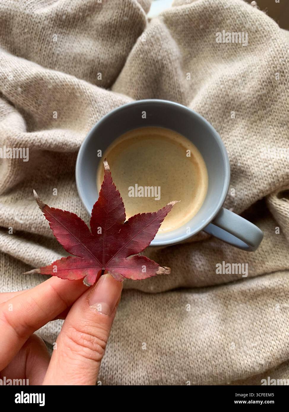 Tazza di caffè su un maglione caldo e una mano che tiene una foglia d'autunno rossa. Atmosfera autunnale accogliente e relax. Vista dall'alto, disposizione piatta. Composizione autunnale. - Immagine stock catturata con smartphone
