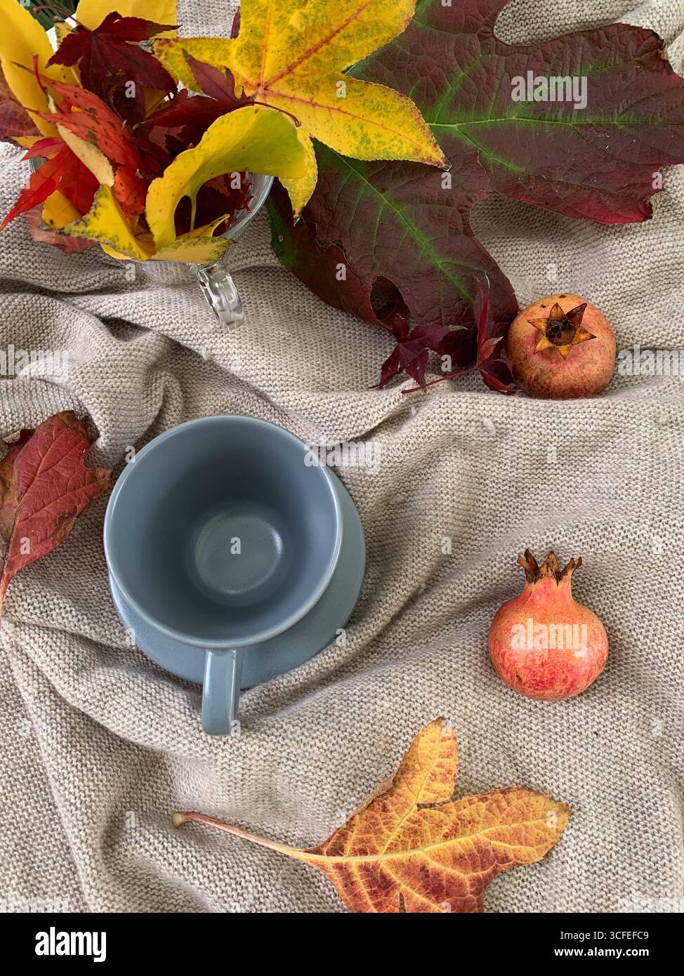 Tazza da tè vuota con foglie autunnali e melograni su un maglione caldo. Atmosfera autunnale accogliente e relax. Vista dall'alto, disposizione piatta. Composizione autunnale. - Immagine stock catturata con smartphone