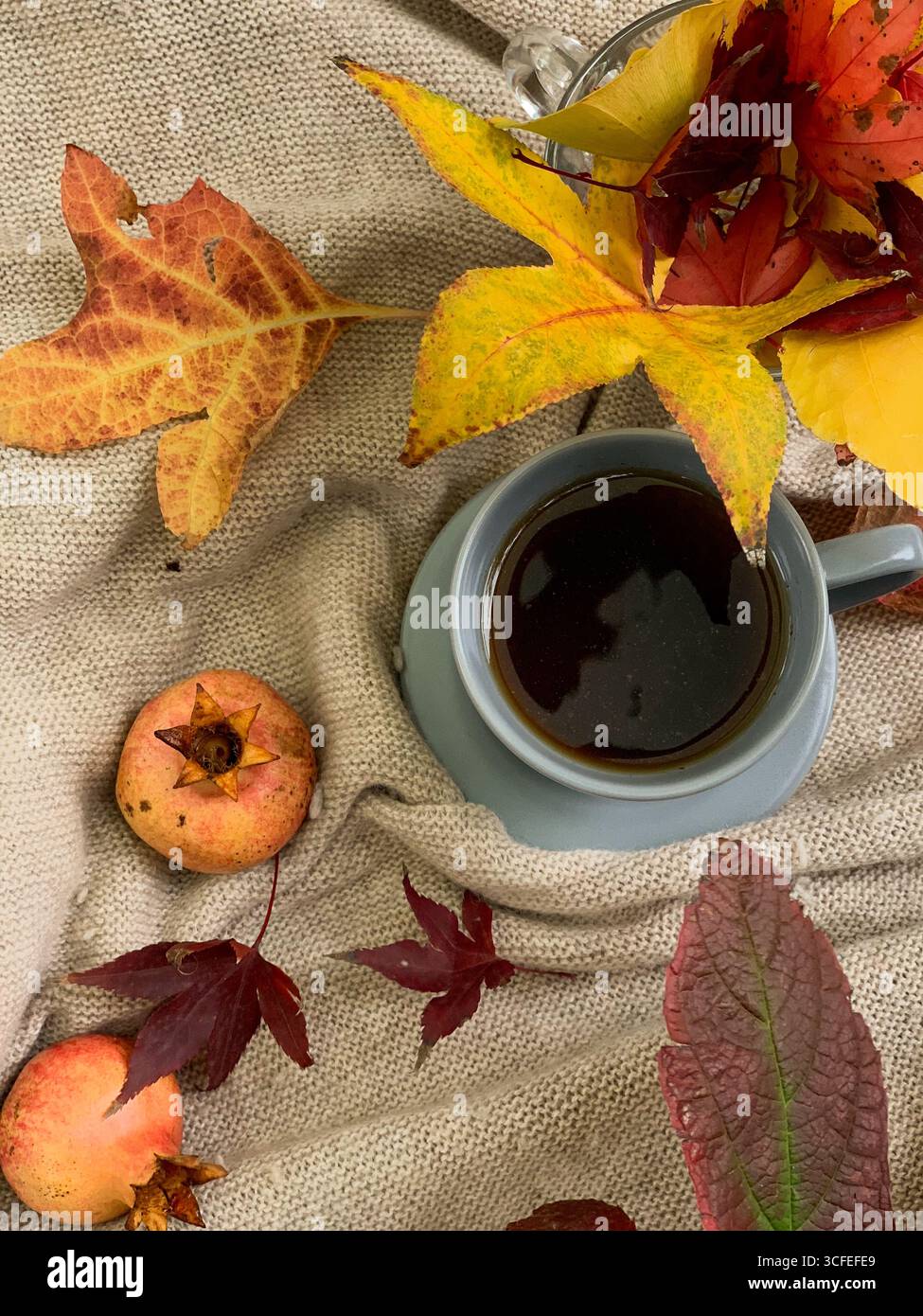 Tazza di tè con foglie autunnali e melograni su un maglione caldo. Atmosfera autunnale accogliente e relax. Vista dall'alto, disposizione piatta. Composizione autunnale. - Immagine stock catturata con smartphone