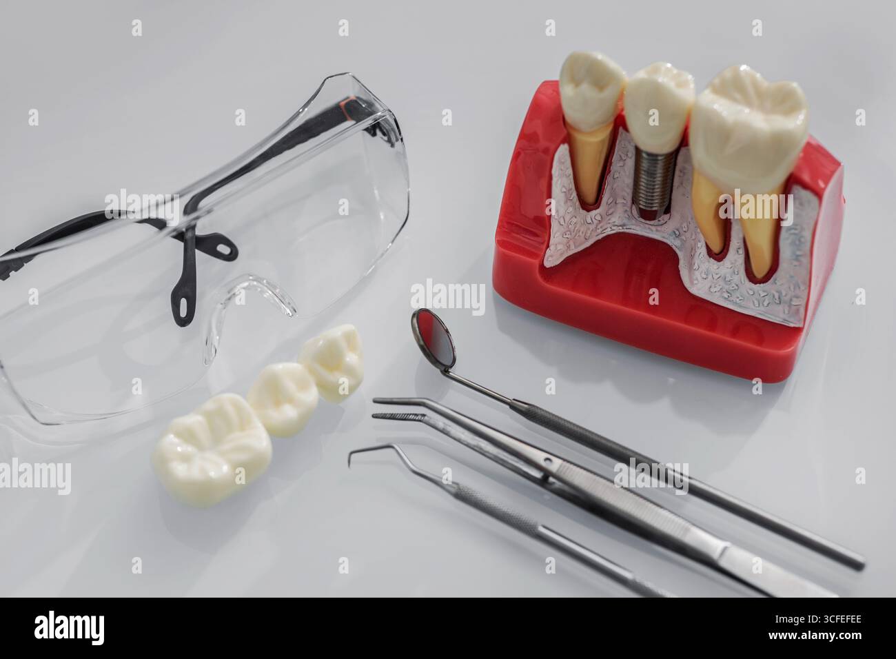 Gli strumenti e i modelli dentali evidenziano gli strumenti vitali per le consultazioni e l'educazione alla salute dentale in una clinica. Foto Stock