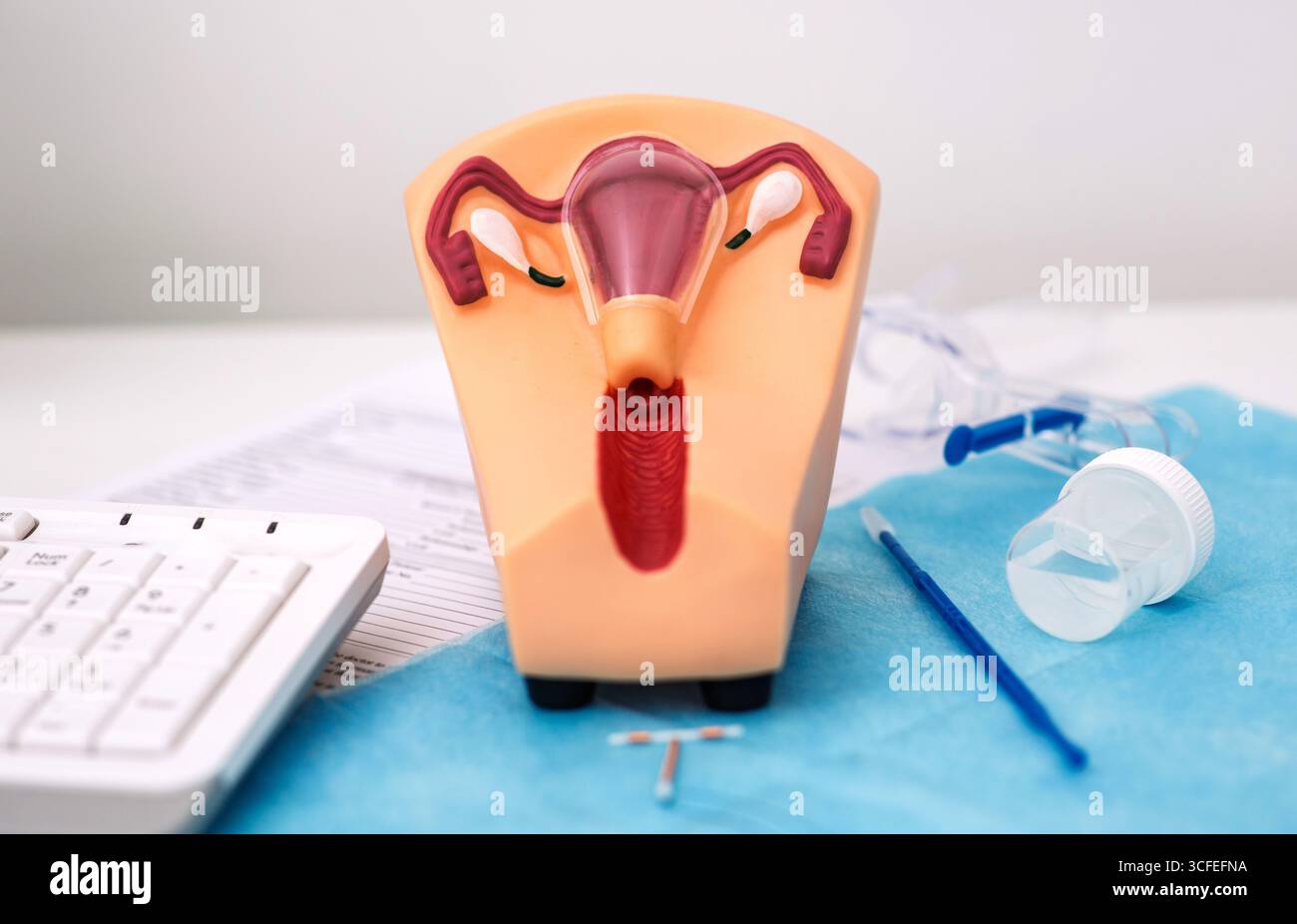 Il modello anatomico mostra il posizionamento IUD durante una consultazione ginecologica, evidenziando la salute delle donne Foto Stock