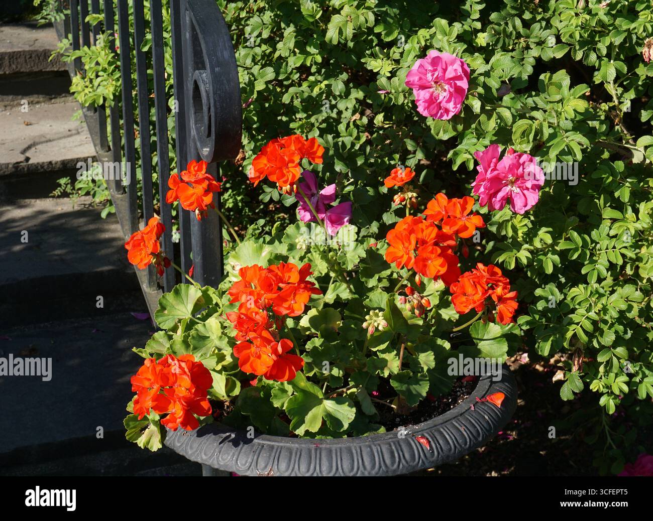 Kingsbrae Garden, St Andrews, New Brunswick Foto Stock Kingsbrae Garden, St Andrews, New Brunswick Foto Stock