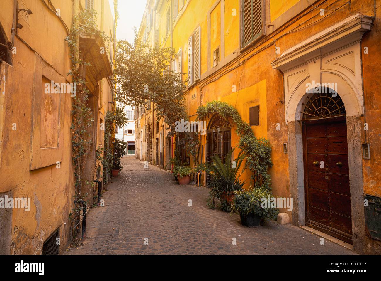 Pittoresco vicolo Trastevere a Roma, Italia, con mura rustiche, piante in vaso e porta ad arco Foto Stock