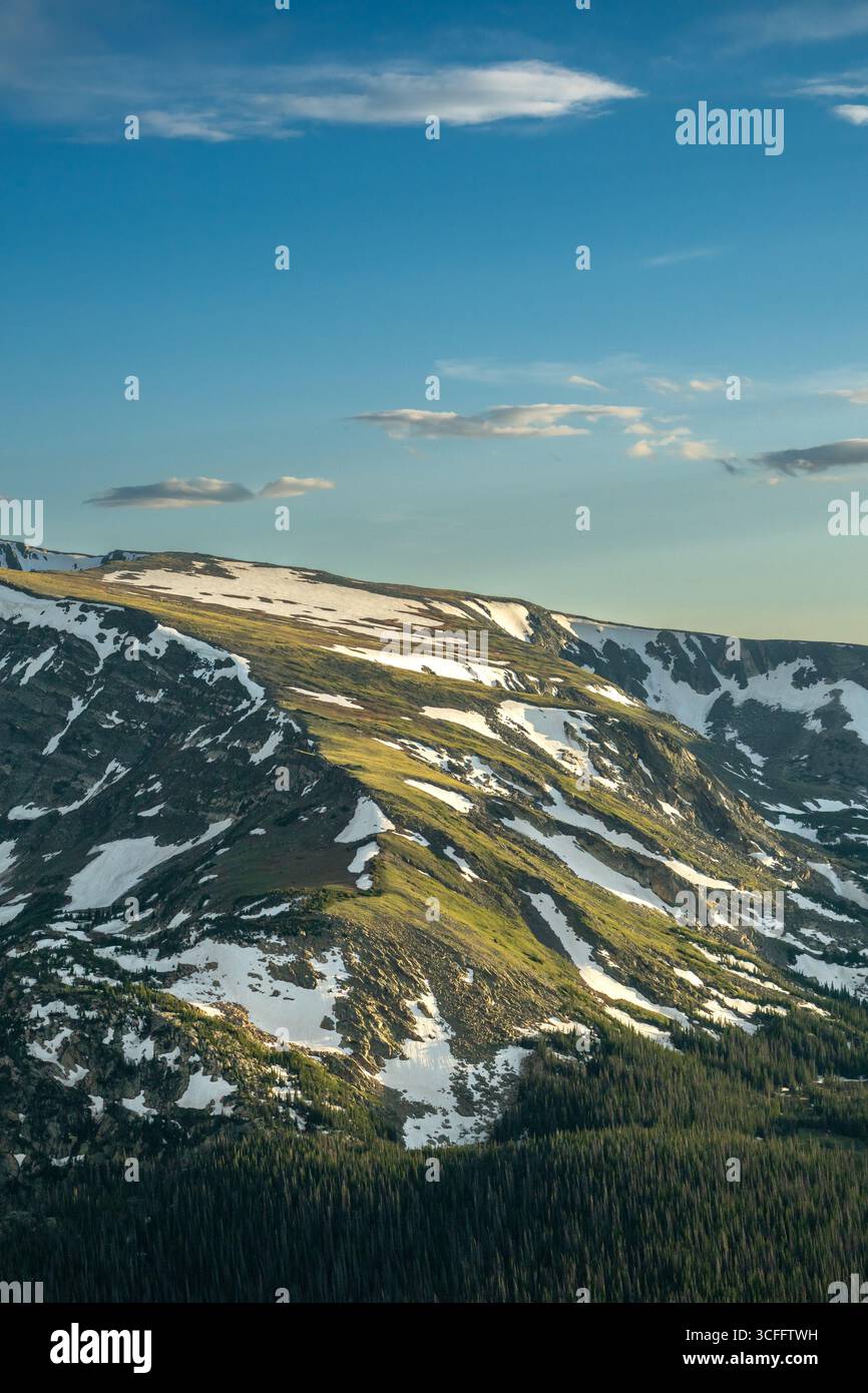 Le erba verde emergono da sotto le Patches del Remainign Snow del Parco Nazionale delle Montagne Rocciose Foto Stock