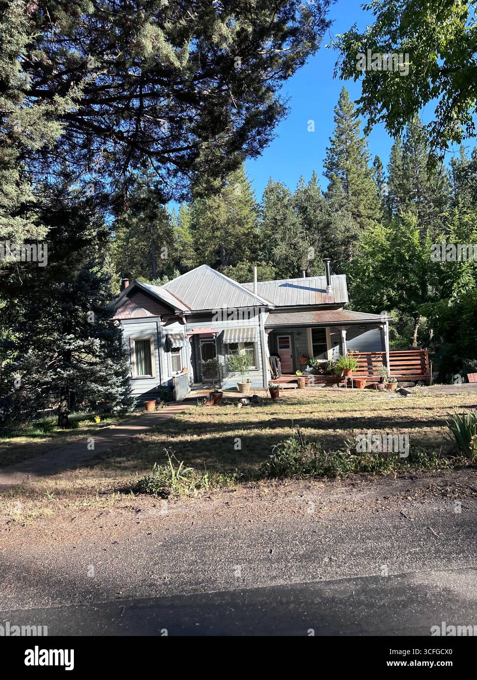 Una casa storica rustica con tetto in metallo, veranda anteriore, piante in vaso e pini circostanti in un'area forestale rurale. Foto Stock