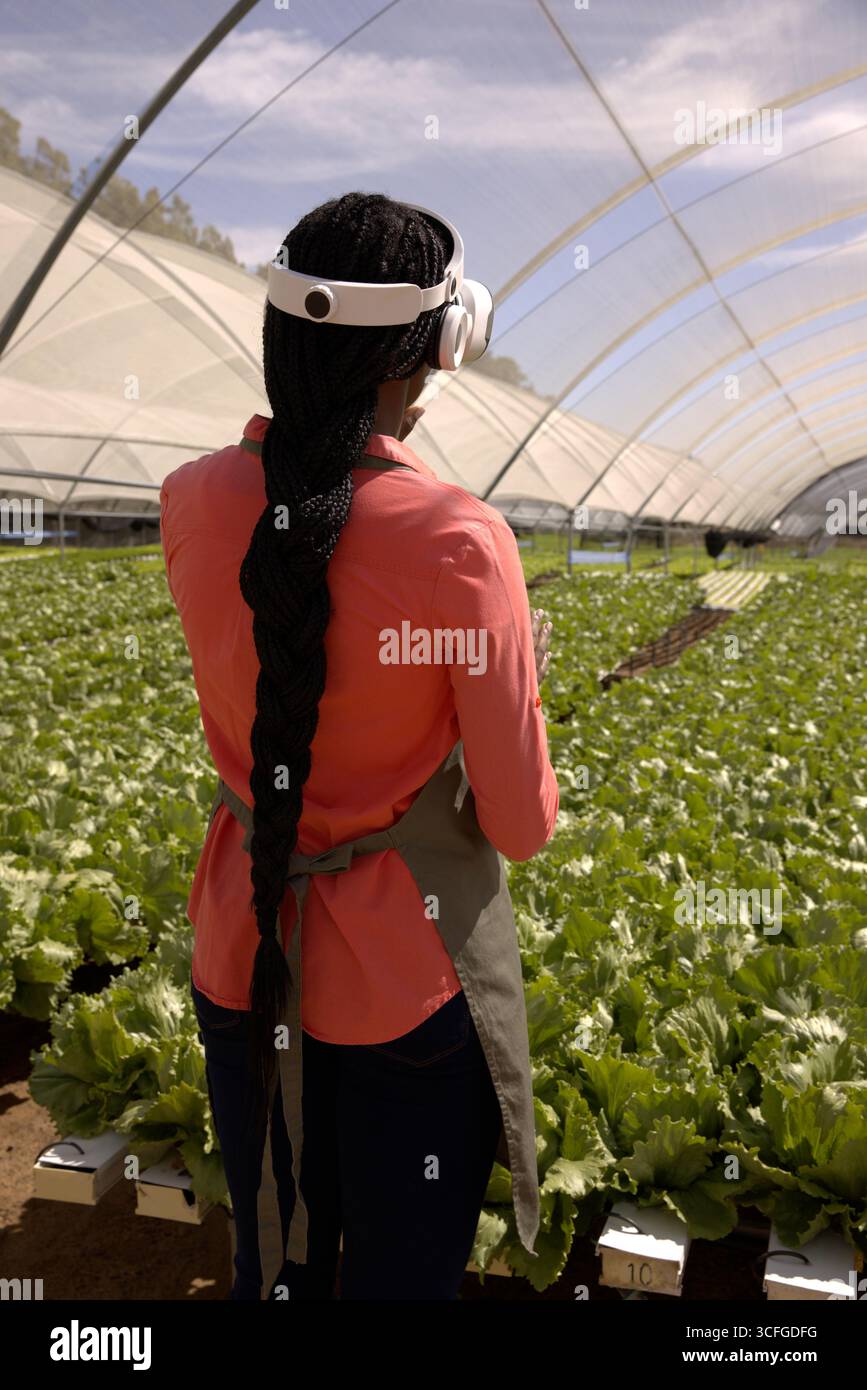 Donna afroamericana che ispeziona le vasche idroponiche in serra con cuffie e grembiule Foto Stock