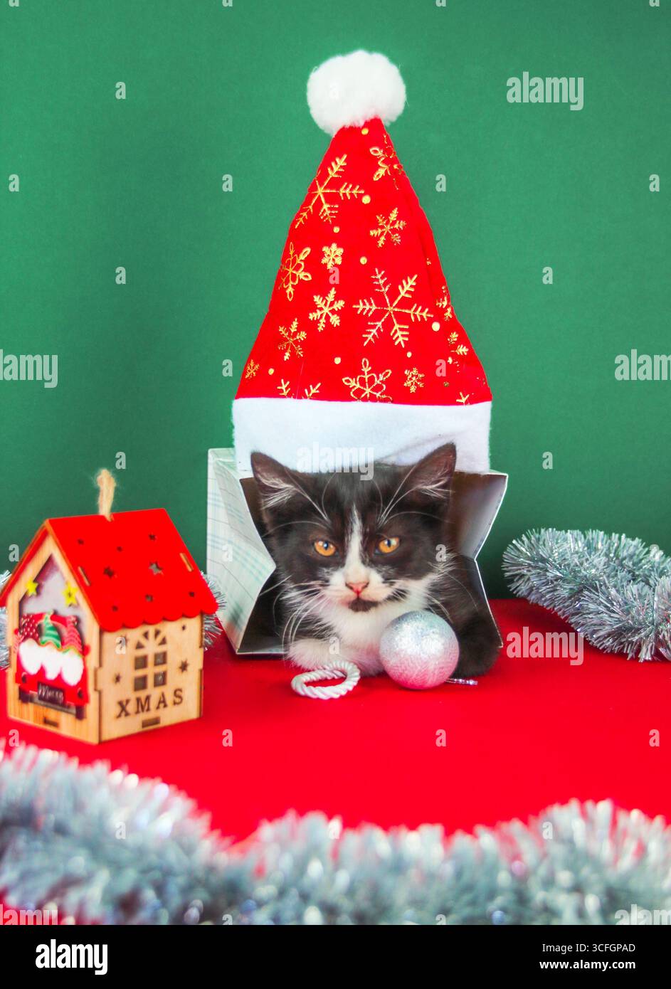 Cappello da Babbo Natale per cani e gatti di Natale + Sciarpa natalizia per animali domestici + Colletto natalizia con papillon,Jupsk 6 pezzi costume da compagnia natalizio per gatti, gattini,cuccioli
