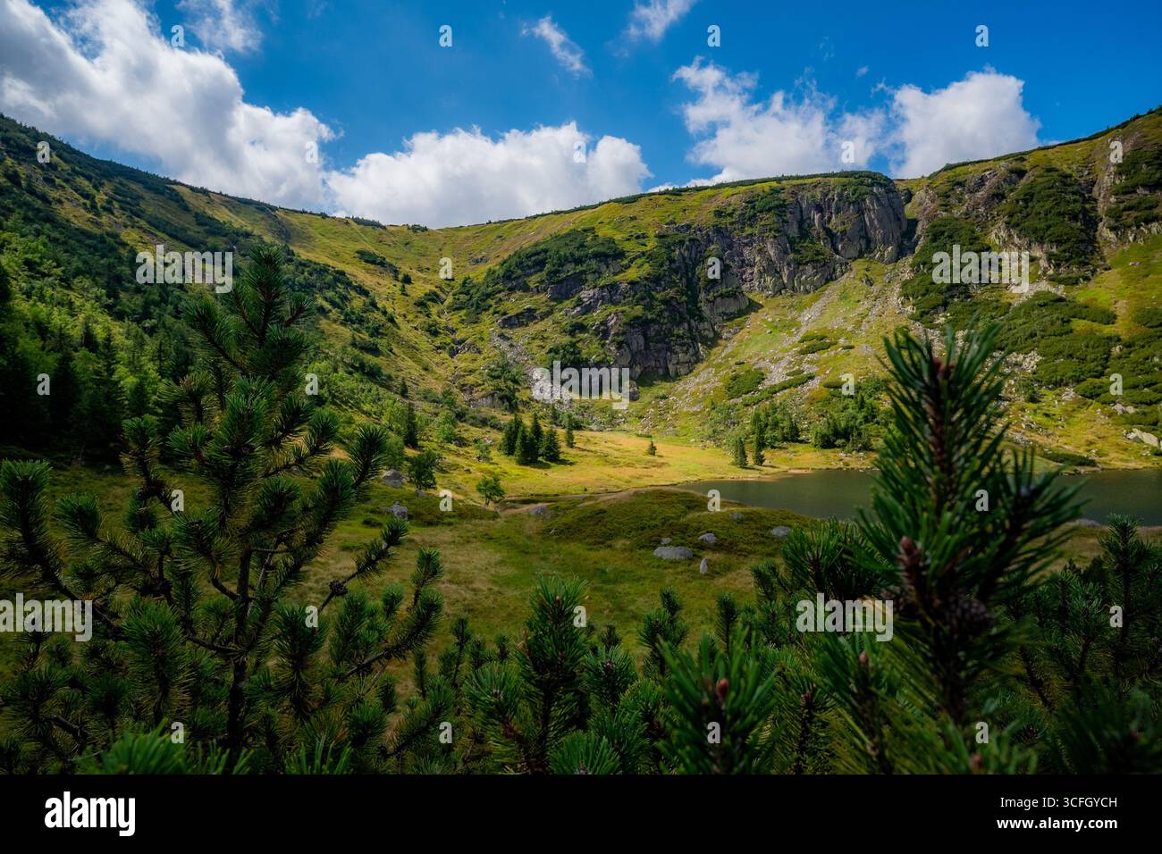Lago tra verdi montagne Foto Stock