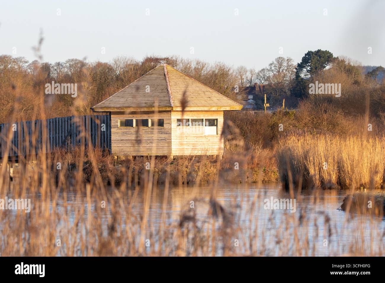 SEATON, DEVON, Regno Unito - 8 GENNAIO 2024 - le paludi di Seaton si nascondono in inverno con la luce del sole e l'ombra Foto Stock