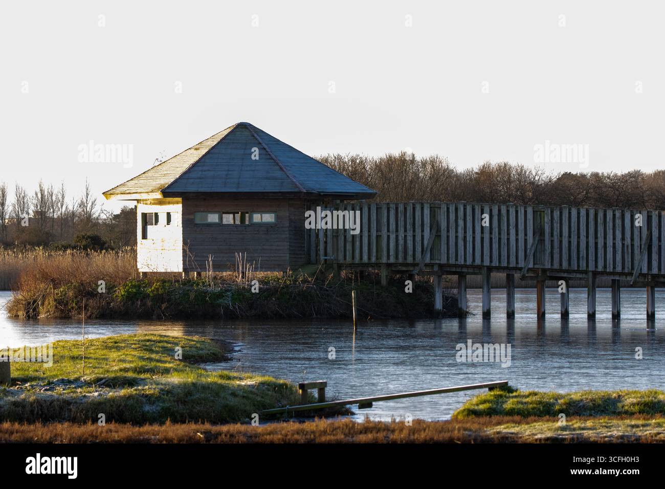 SEATON, DEVON, Regno Unito - 8 GENNAIO 2024 - le paludi di Seaton si nascondono in inverno con la luce del sole e l'ombra Foto Stock