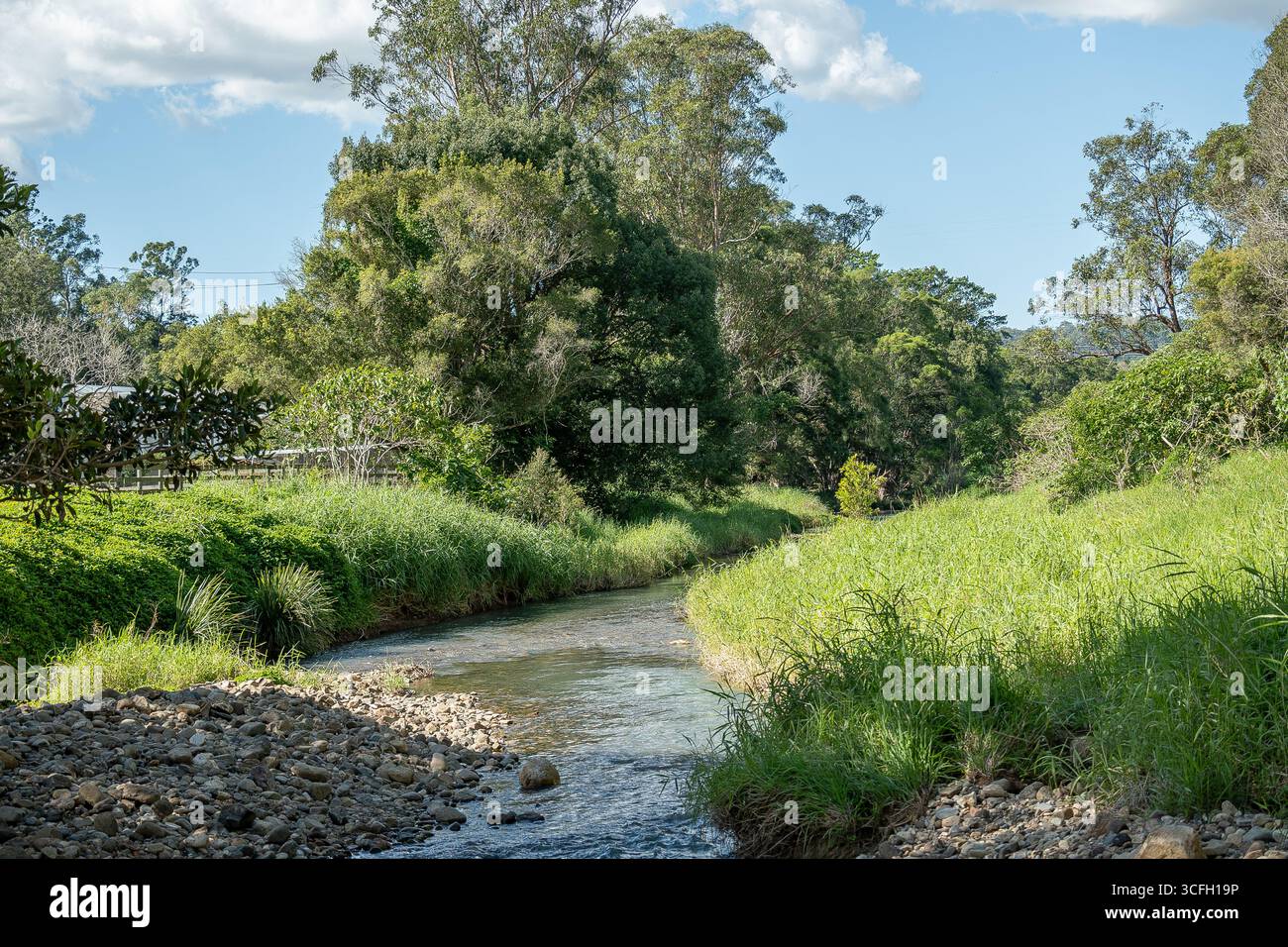Tranquilla scena rurale del Guanaba Creek che scorre attraverso le colline pedemontane di Tamborine Mountain, Queensland, Australia. Soleggiato, verde, silenzioso. Foto Stock