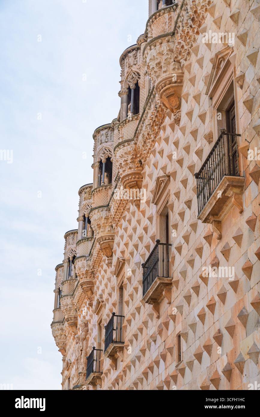 Guadalajara, Spagna. 19 agosto 2025. Vista della splendida facciata del Palacio del Infantado Foto Stock