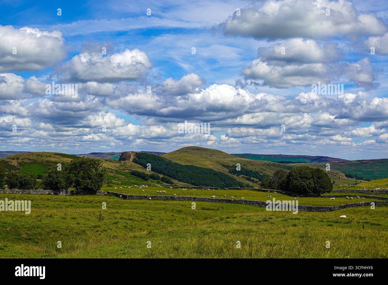 Estate nel Peak District National Park, Peaks, Derbyshire, Regno Unito Foto Stock