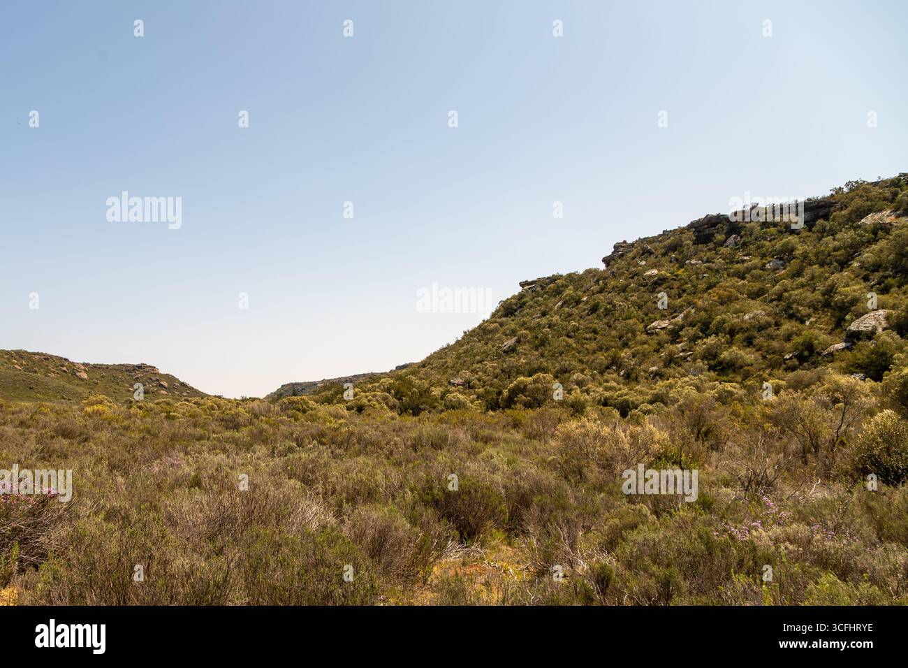 Paesaggio a nord di Nieuwoudtville, Northern Cape, Sud Africa Foto Stock