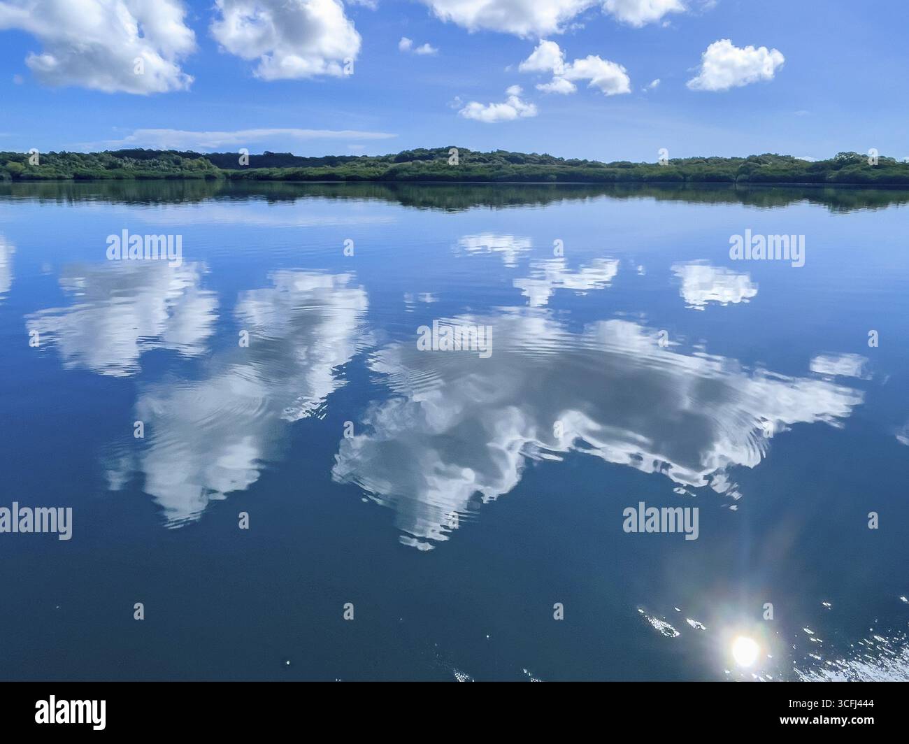 Nuvole bianche cumulus riflesse nella superficie dell'acqua della laguna tropicale dell'isola di Yap nell'Oceano Pacifico, costa con mangrovie sullo sfondo, Oceano Pacifico, Foto Stock