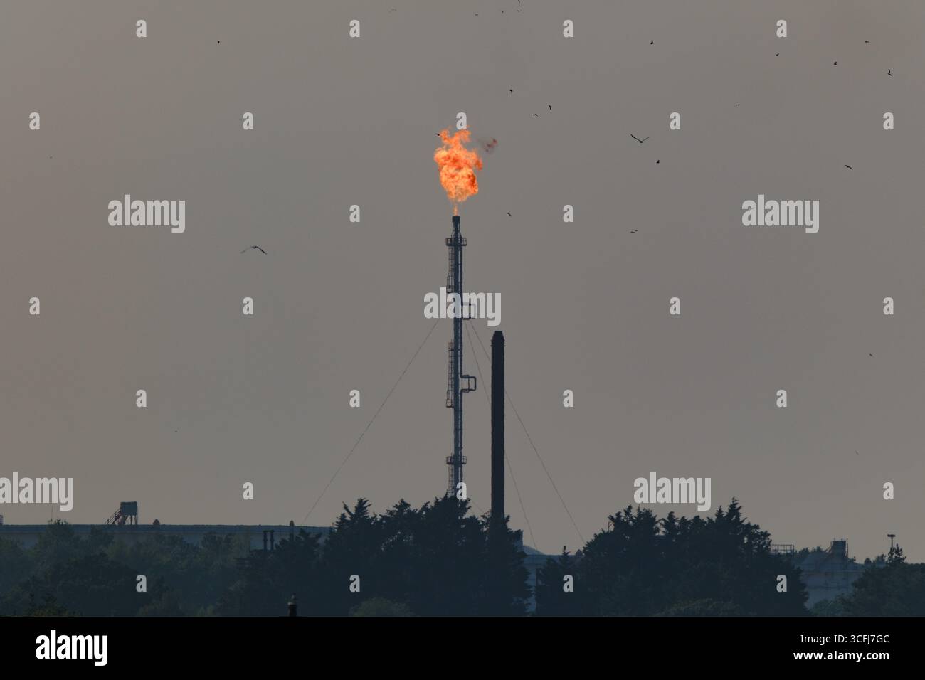 Una pila di fiamma di sicurezza che brucia il gas in eccesso alla raffineria di Fawley Oil vicino a Southampton, Inghilterra. Questa procedura è normale quando la pressione si accumula dal gas in eccesso. Foto Stock