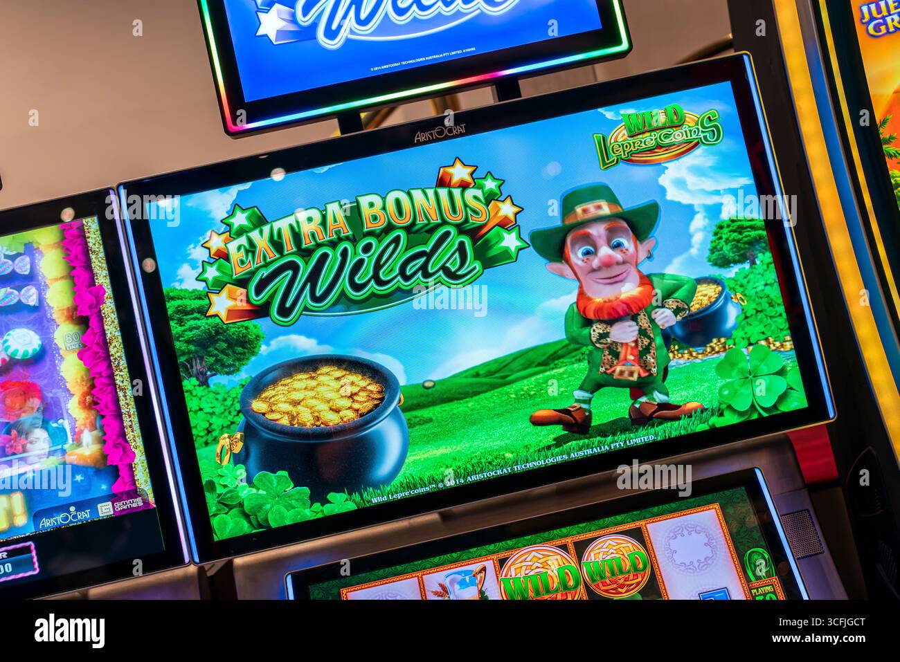 Primo piano della slot machine Wild Lepre'Coins con leprechaun e vaso d'oro, tema della fortuna irlandese che simboleggia il gioco d'azzardo, la fortuna e l'intrattenimento. Foto Stock
