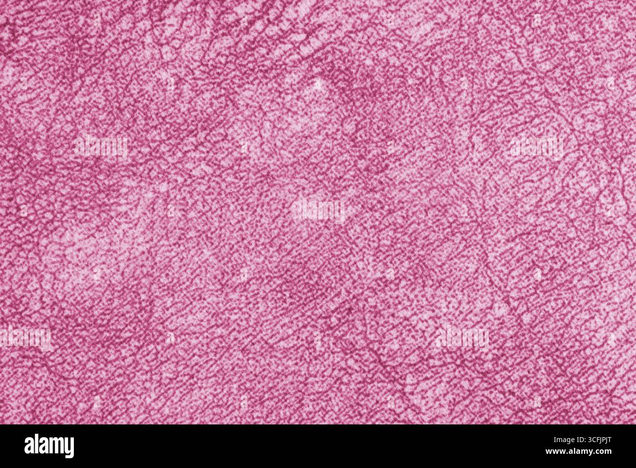 Primo piano, tessuto rosato con fibre tessute fini e tessuto morbido, struttura in tessuto. Sfondo astratto e disordinato, design in tessuto, tappezzeria Foto Stock