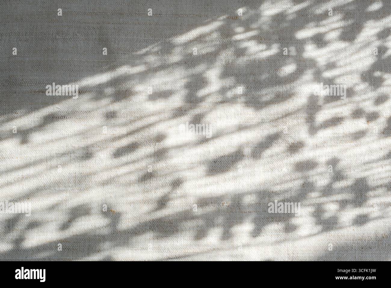 Ombre dai baccelli di lino sul tessuto di lino. Crescente domanda di fibre naturali. Copia spazio. Foto Stock