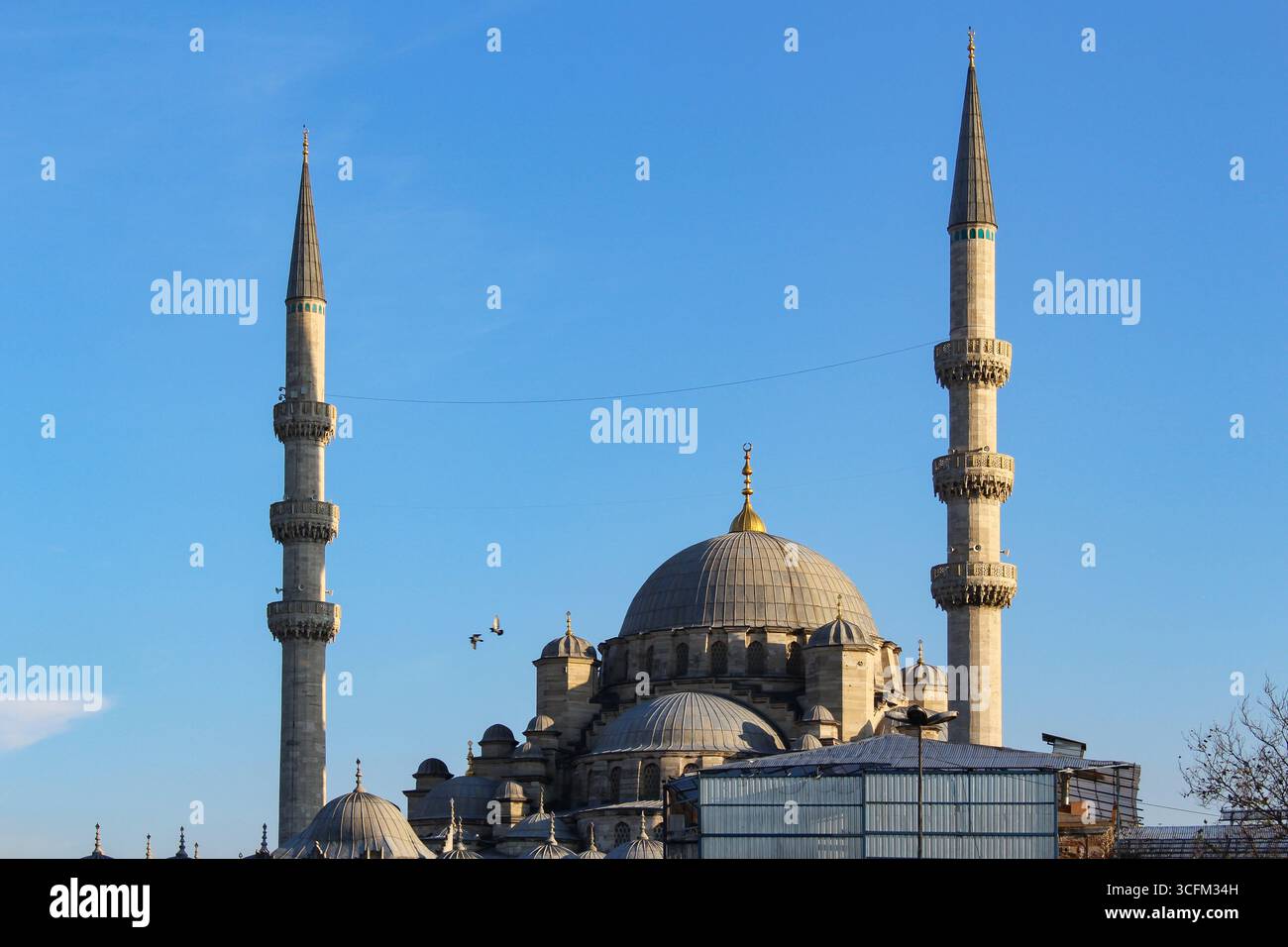 Nuova moschea (Yeni Cami) e bazar egiziano a Istanbul, Turchia Foto Stock