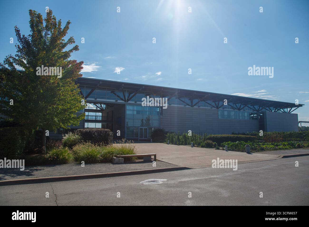 Jackson-Triggs Winery, architettura moderna e vigneti, Niagara-on-the-Lake in Ontario, Canada Foto Stock