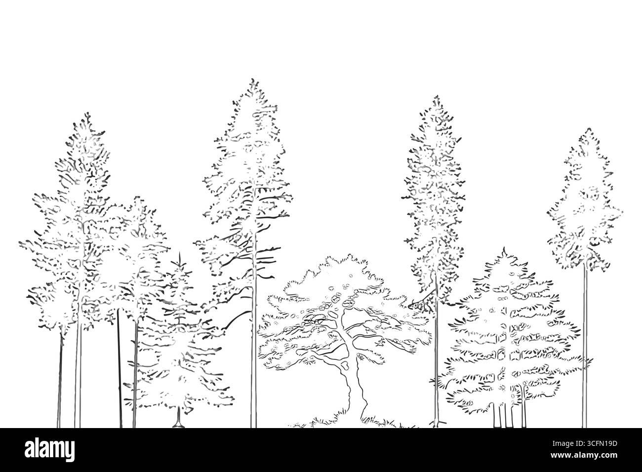 Disegni architettonici, disegno di linee ad albero cad in stile minimale, vista laterale, insieme di simboli di contorno foresta faunistica di sezione per disegni di progettazione paesaggistica Illustrazione Vettoriale