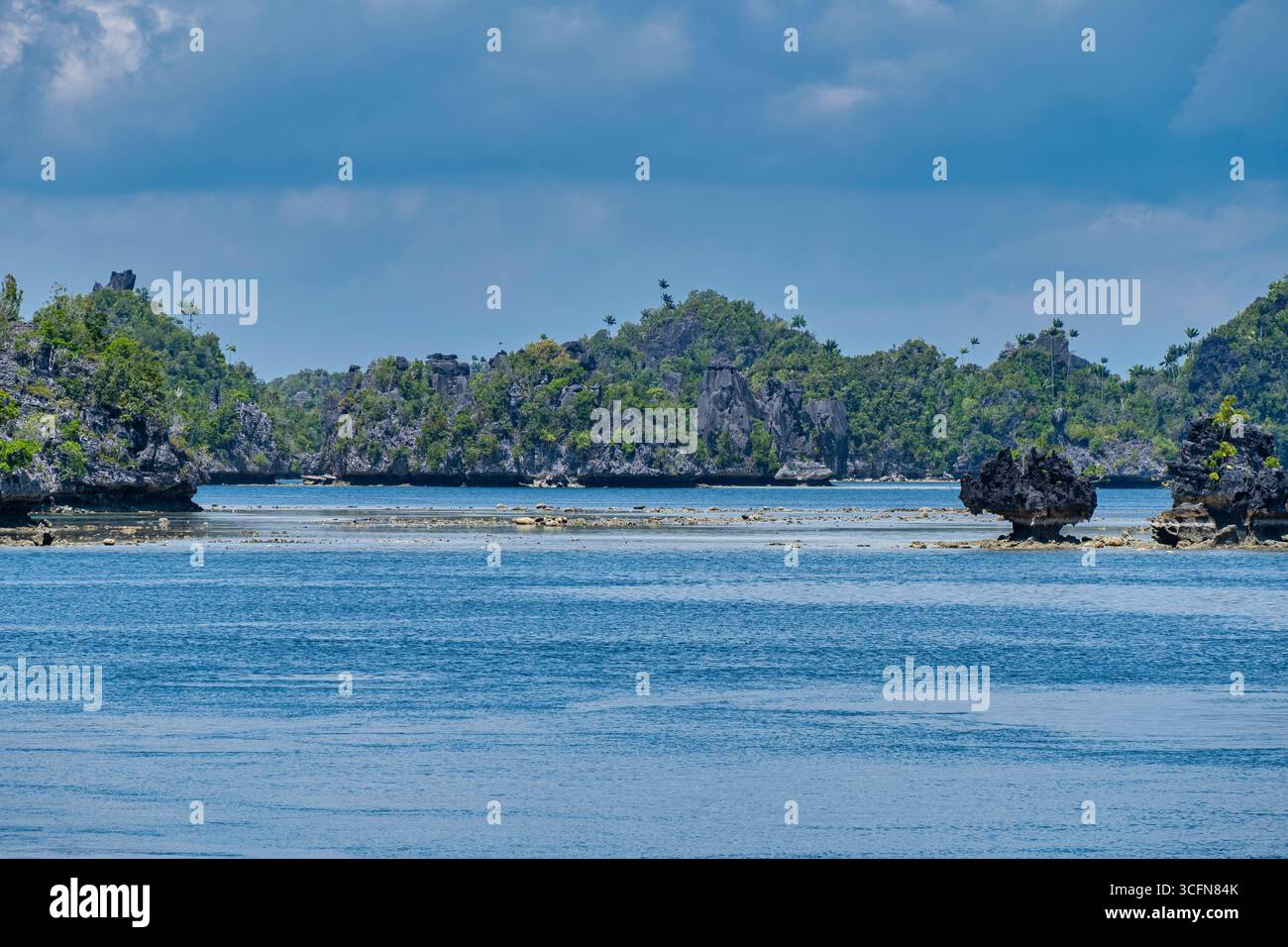 Misool è una delle quattro isole principali delle isole Raja Ampat nel sud-ovest di Papua. Più tardi, quest'isola divenne famosa per la sua bellezza naturale. La zona Foto Stock