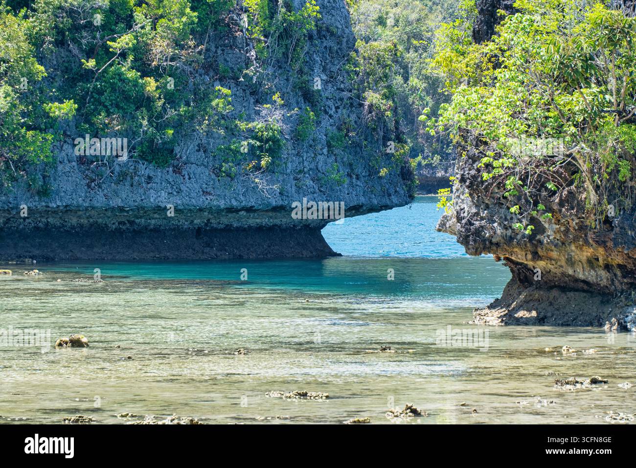 Misool è una delle quattro isole principali delle isole Raja Ampat nel sud-ovest di Papua. Più tardi, quest'isola divenne famosa per la sua bellezza naturale. La zona Foto Stock