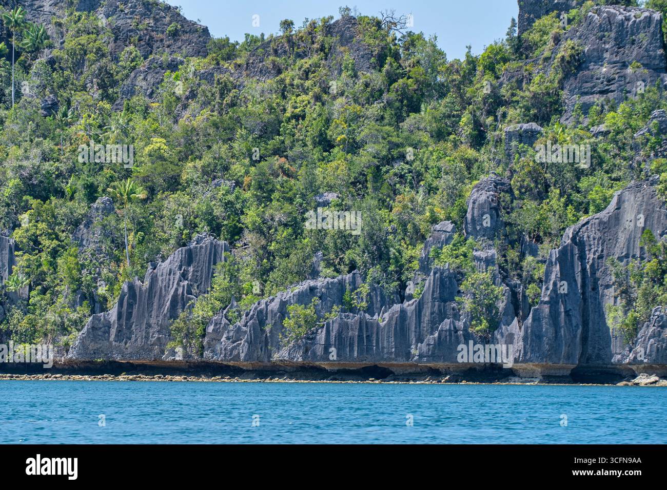 Il geosito di Dafalen e il suo picco è un luogo meraviglioso a Besir, Raja Ampat, Papua Occidentale che offre vedute mozzafiato dell'area circostante. Godetevi la pace Foto Stock