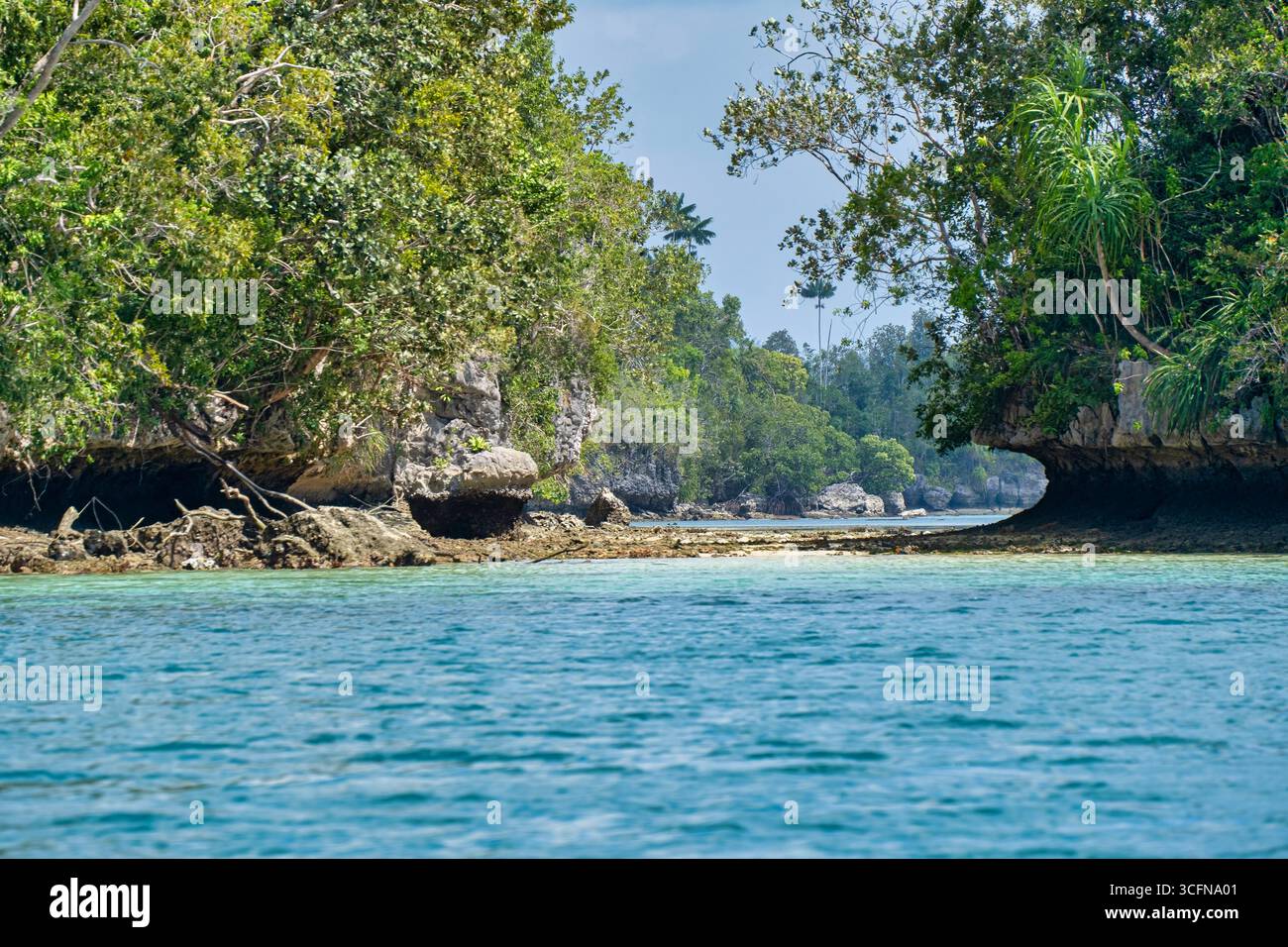 Misool è una delle quattro isole principali delle isole Raja Ampat nel sud-ovest di Papua. Più tardi, quest'isola divenne famosa per la sua bellezza naturale. La zona Foto Stock