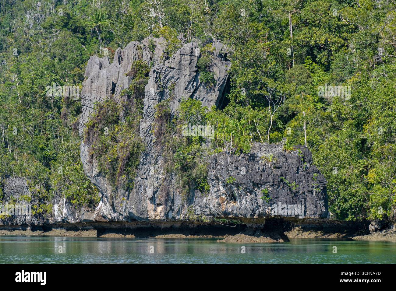 Misool è una delle quattro isole principali delle isole Raja Ampat nel sud-ovest di Papua. Più tardi, quest'isola divenne famosa per la sua bellezza naturale. La zona Foto Stock