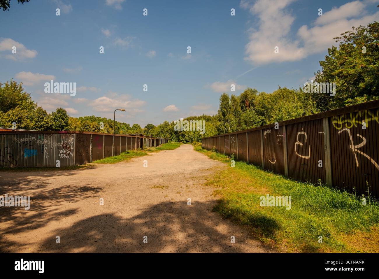 Natura a Wildau Brandenburg vicino a Berlino Foto Stock