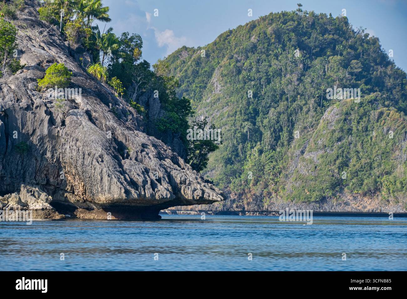 Misool è una delle quattro isole principali delle isole Raja Ampat nel sud-ovest di Papua. Più tardi, quest'isola divenne famosa per la sua bellezza naturale. La zona Foto Stock