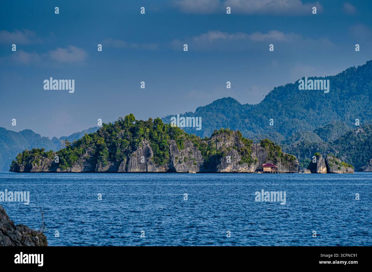 Misool è una delle quattro isole principali delle isole Raja Ampat nel sud-ovest di Papua. Più tardi, quest'isola divenne famosa per la sua bellezza naturale. La zona Foto Stock