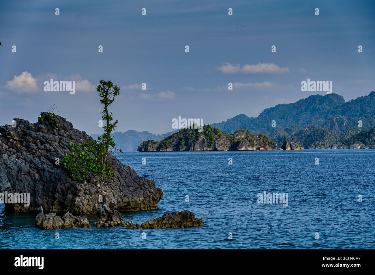 Misool è una delle quattro isole principali delle isole Raja Ampat nel sud-ovest di Papua. Più tardi, quest'isola divenne famosa per la sua bellezza naturale. La zona Foto Stock