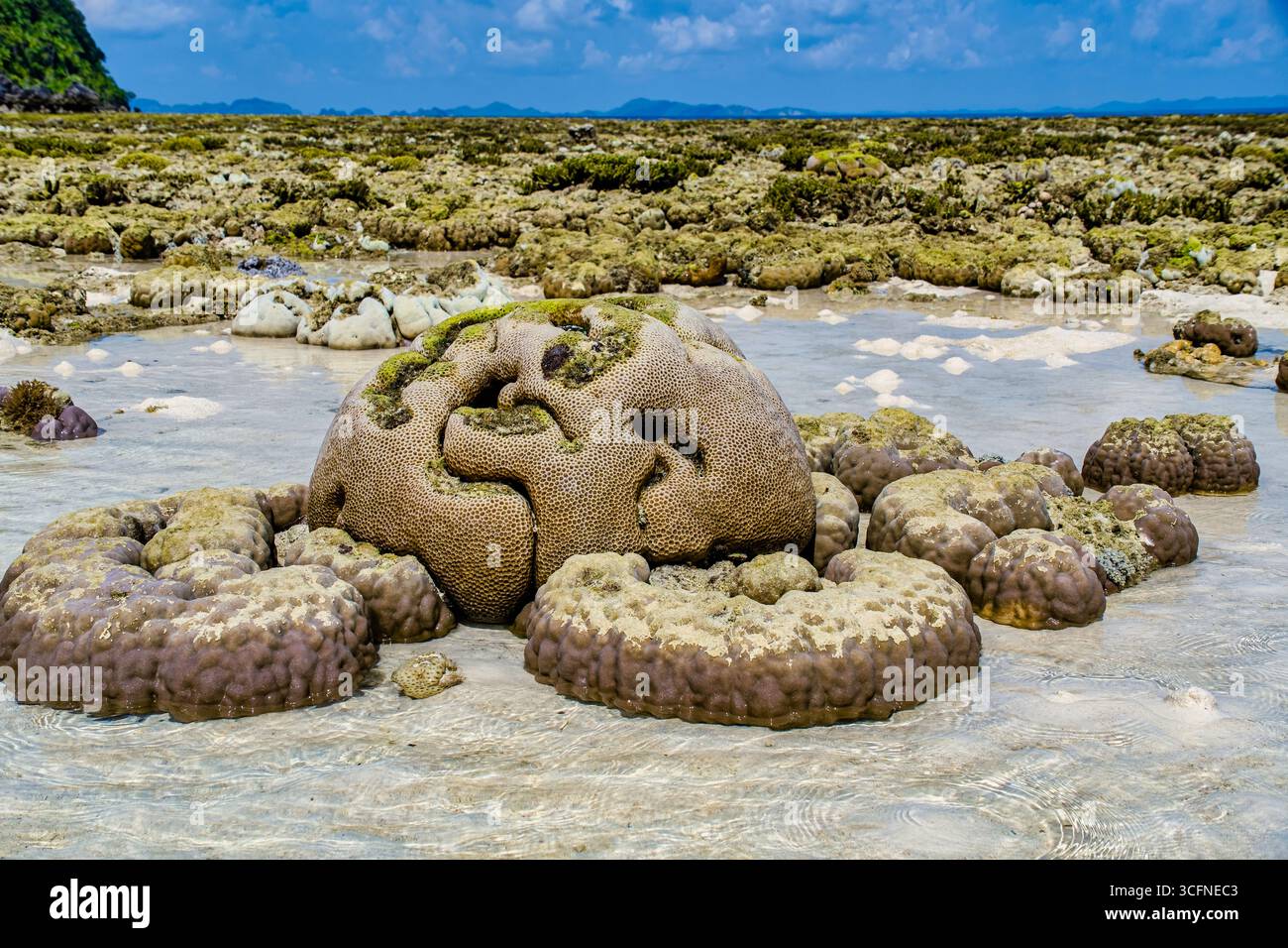 Misool è una delle quattro isole principali delle isole Raja Ampat nel sud-ovest di Papua. Più tardi, quest'isola divenne famosa per la sua bellezza naturale. La zona Foto Stock