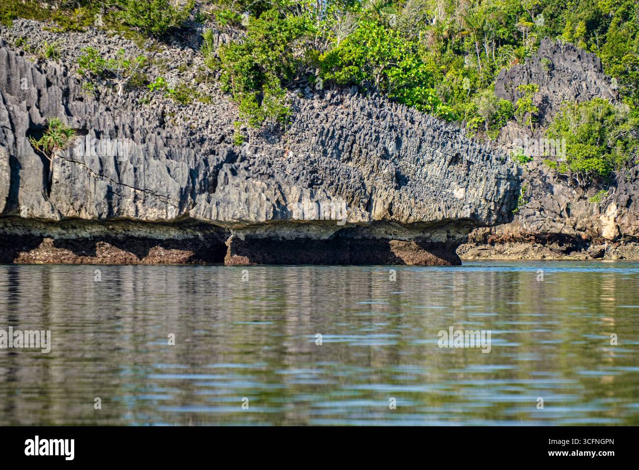 Misool è una delle quattro isole principali delle isole Raja Ampat nel sud-ovest di Papua. Più tardi, quest'isola divenne famosa per la sua bellezza naturale. La zona Foto Stock