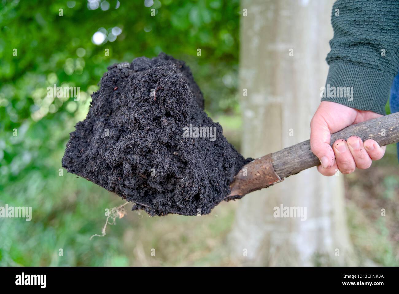 Un primo piano di un mucchio di terra preta, un terreno molto fertile e scuro arricchito di materia organica e biochar. Foto Stock Un primo piano di un mucchio di terra preta, un terreno molto fertile e scuro arricchito di materia organica e biochar. Foto Stock