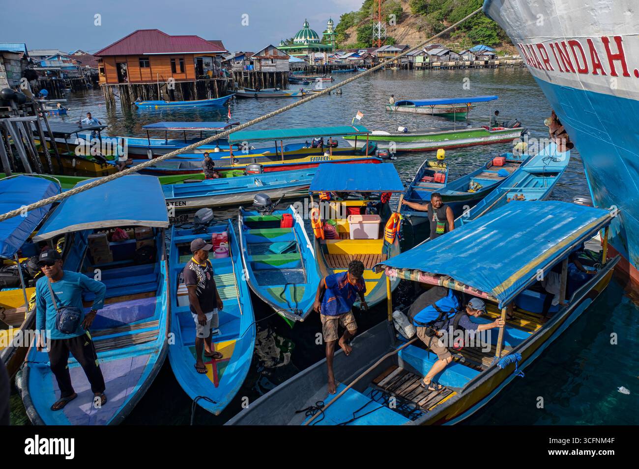 Misool è una delle quattro isole principali delle isole Raja Ampat nel sud-ovest di Papua. Più tardi, quest'isola divenne famosa per la sua bellezza naturale. La zona Foto Stock