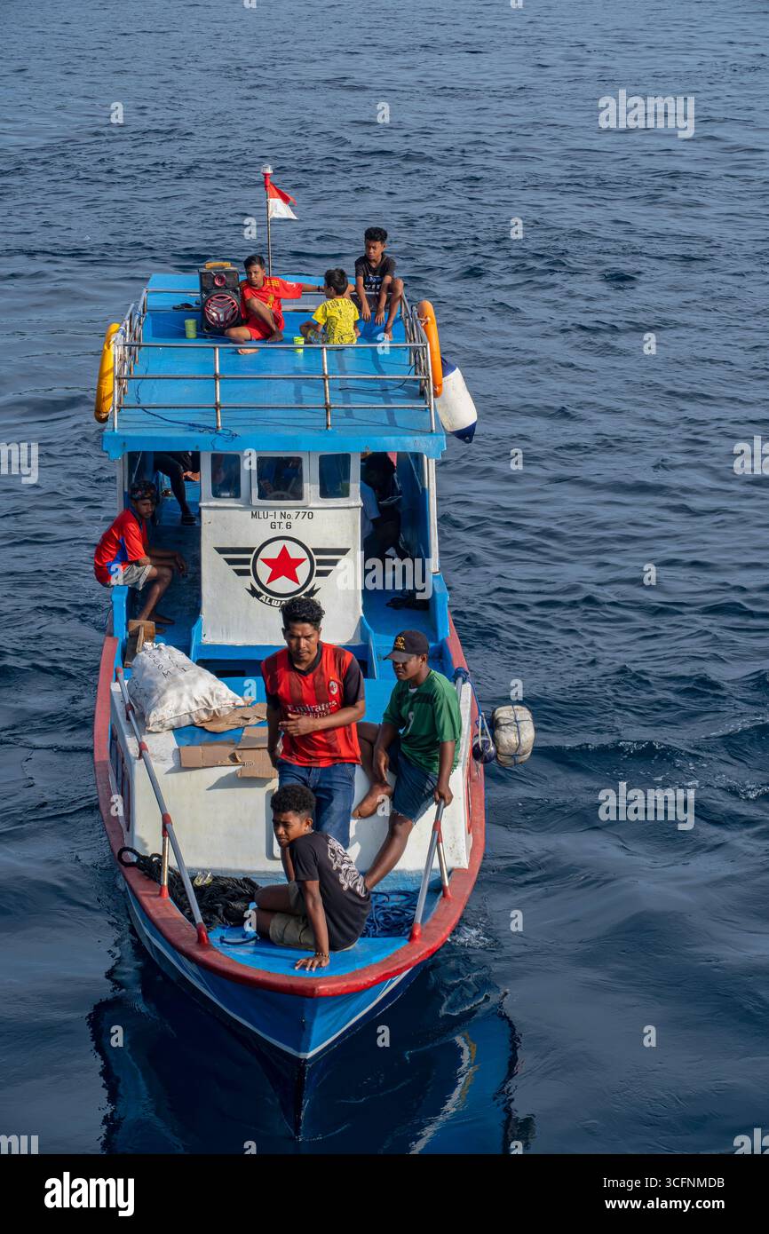 Misool è una delle quattro isole principali delle isole Raja Ampat nel sud-ovest di Papua. Più tardi, quest'isola divenne famosa per la sua bellezza naturale. La zona Foto Stock