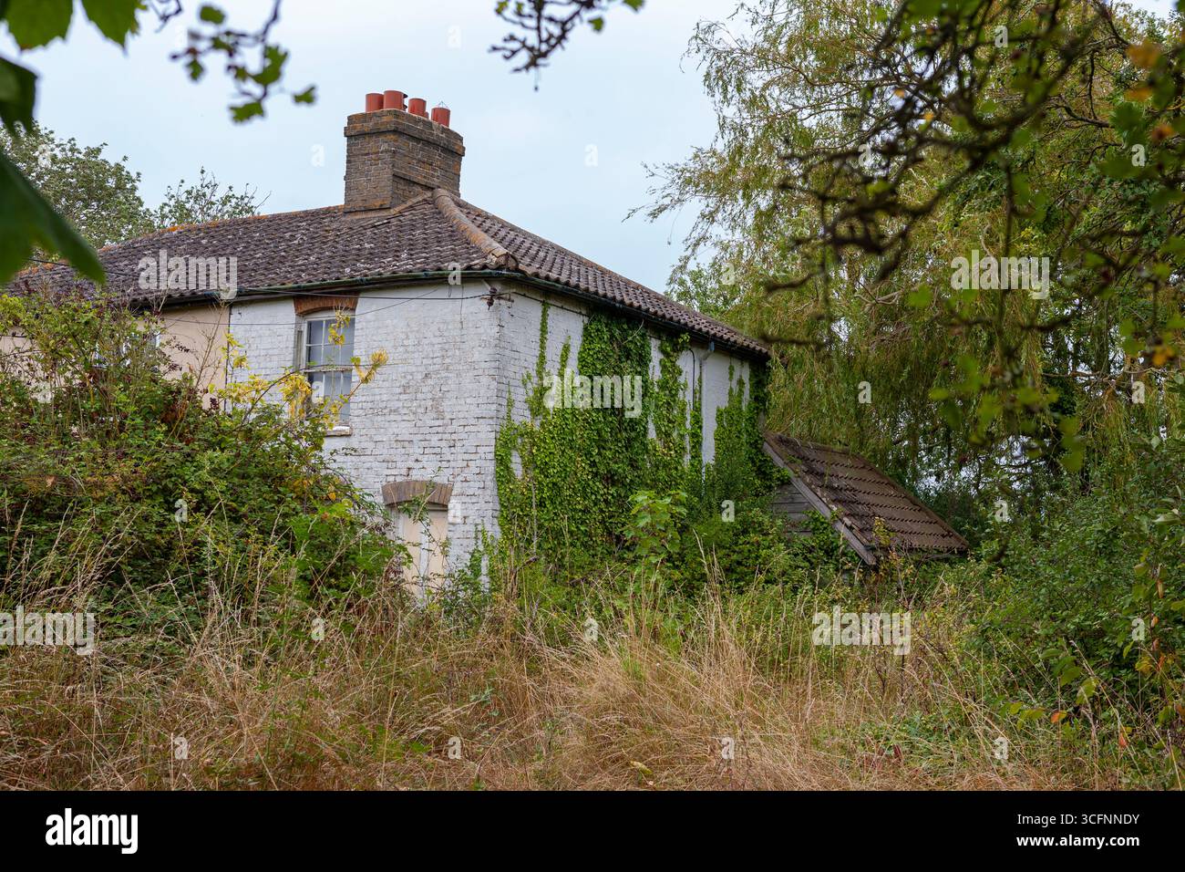 Decadimento rurale: Case abbandonate e abbandonate, Waterside Road, Paglesham East End, Essex, Regno Unito Foto Stock