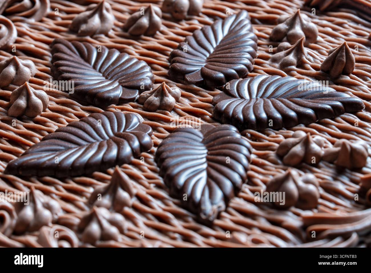 Superficie torta al cioccolato con glassa e caramello decorata con foglie di cioccolato, primo piano Foto Stock