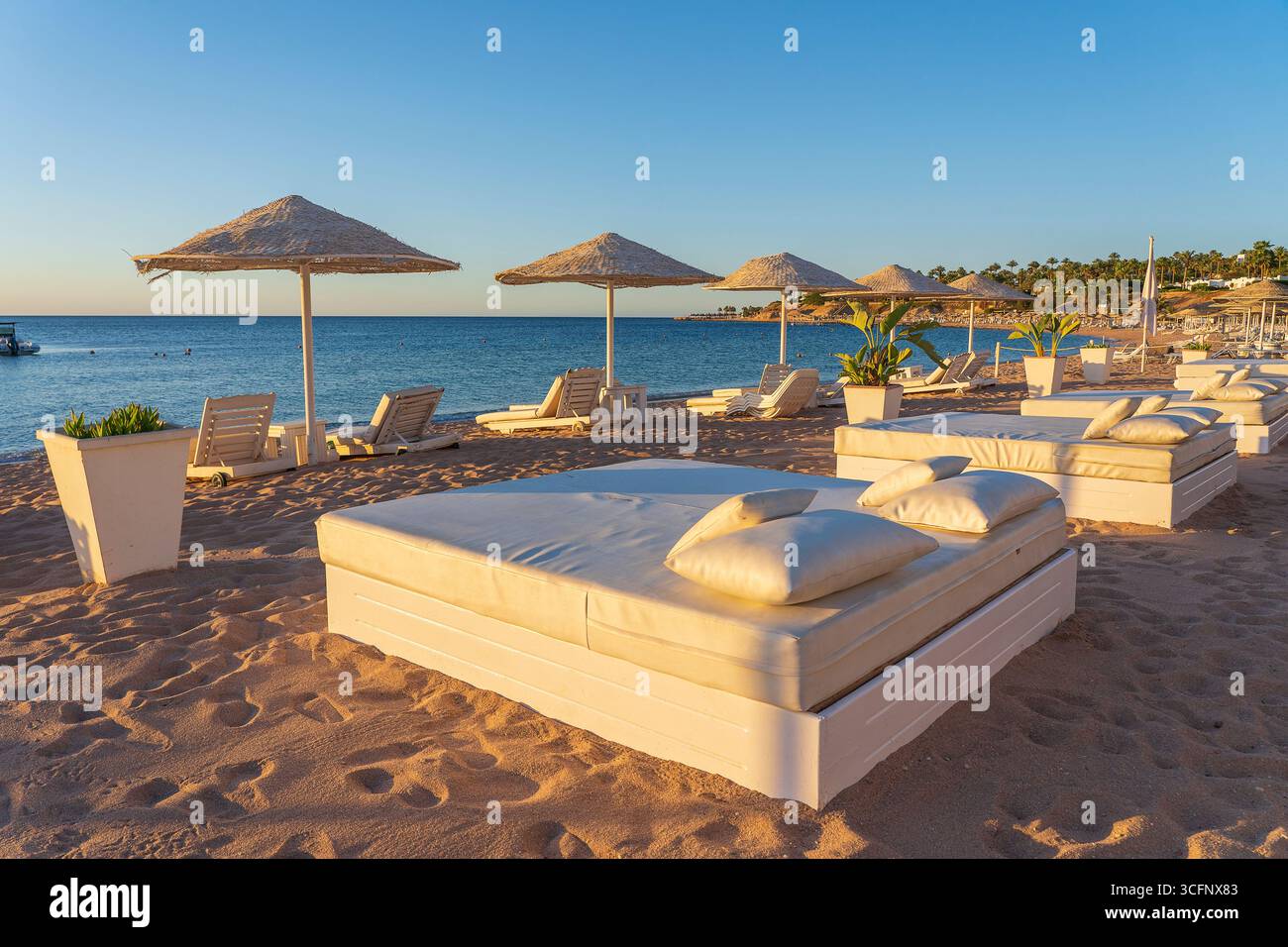 Divani da spiaggia, lettini e ombrelloni sulla spiaggia sabbiosa accanto all'acqua di mare al mattino nella località turistica di Sharm El Sheikh, Egitto Foto Stock