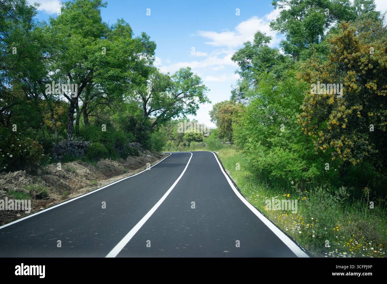 Vista panoramica di una strada di campagna asfaltata vuota che si snoda attraverso un vivace paesaggio verde sotto un cielo blu brillante, offrendo un'esperienza di guida tranquilla Foto Stock