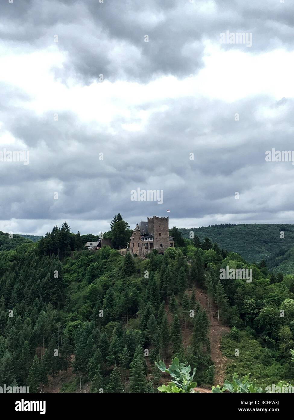 Foto verticale del paesaggio verde della foresta con il Castello di Arras o il Burg tedesco di Arras sulla cima della collina vicino alla Mosella della Valle. Altri 1000 anni Foto Stock