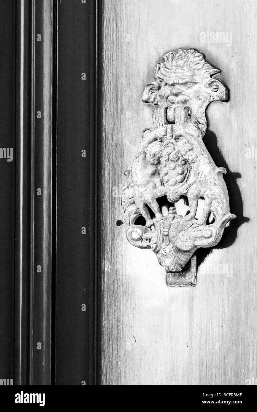 Battitacco porta in metallo decorato rustico con motivo Lion su superficie in legno Foto Stock